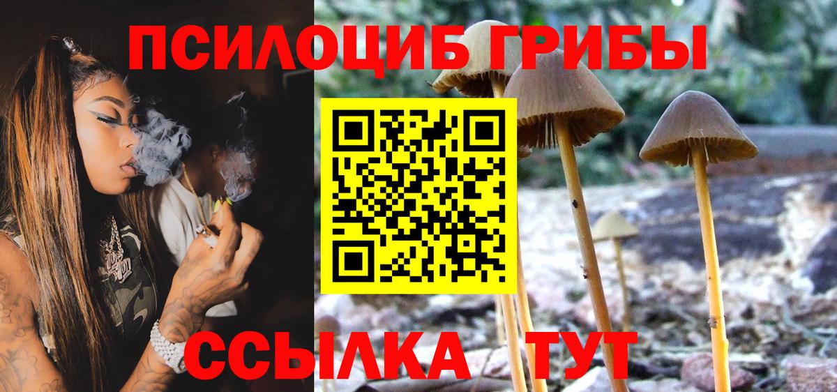 Галлюциногенные грибы Psilocybe  Вход с VPN  Новоуральск 